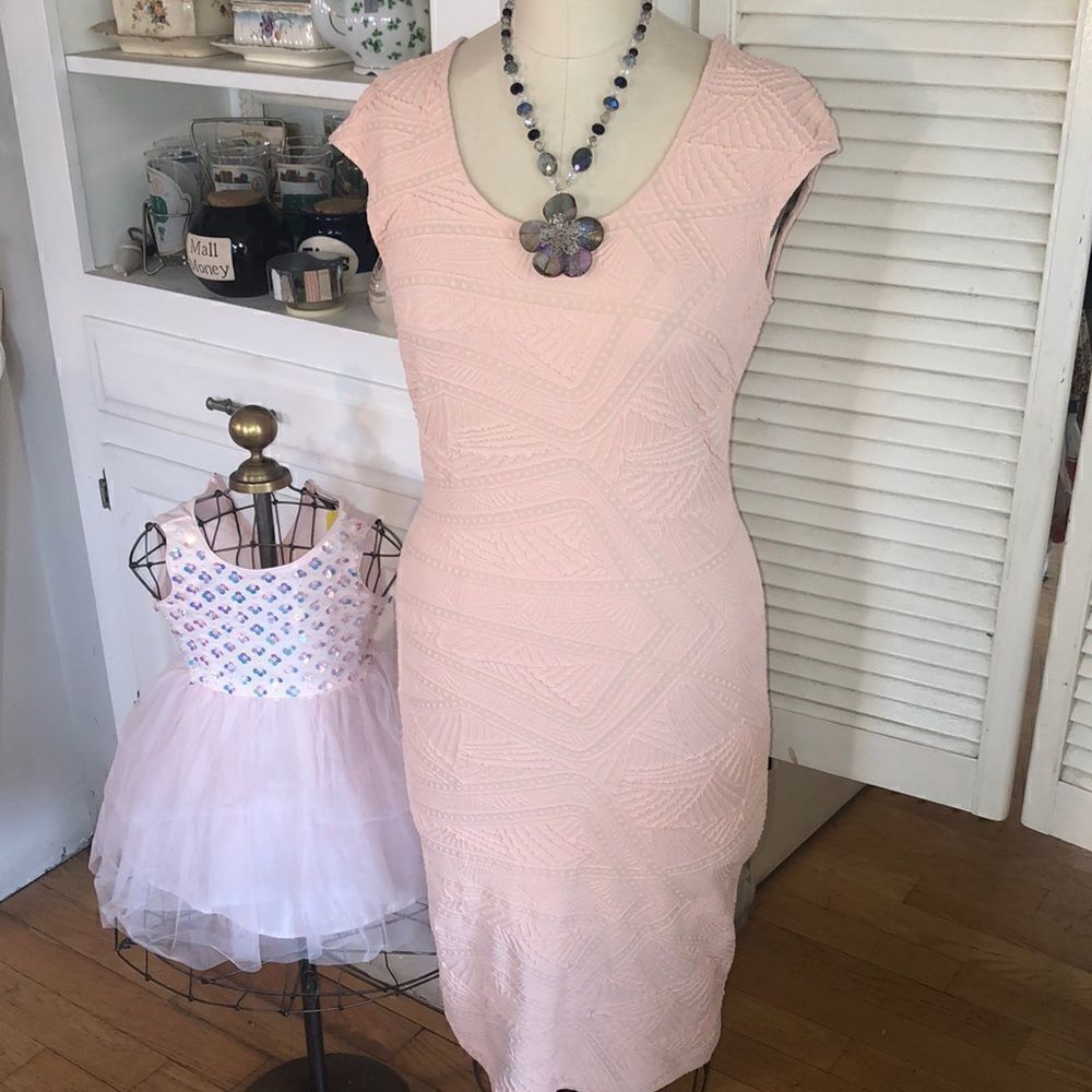 Textured Bodycon Scoopneck Dress in Soft Pink by Bebe Poly Spandex Comfort Wow!